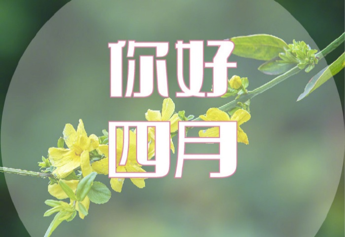 4 月裝修，錯過等一年！青島業(yè)主必看的裝修黃金時機?